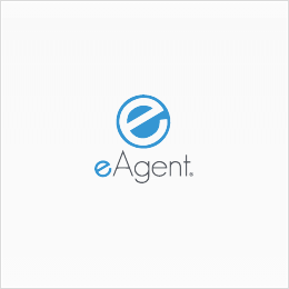 Eagent Real Estate Business Cards